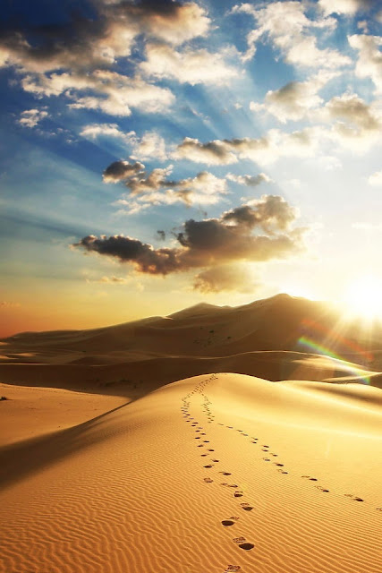 desert iphone wallpaper free iphone wallpapers hd desert footprint cool iphone4 desert iphone wallpaper free iphone wallpapers hd desert footprint cool iphone4