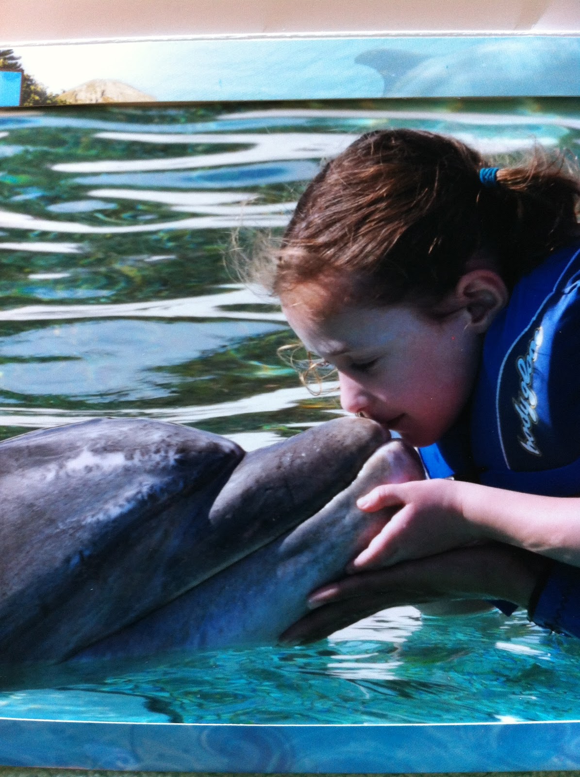 People Kissing Dolphins