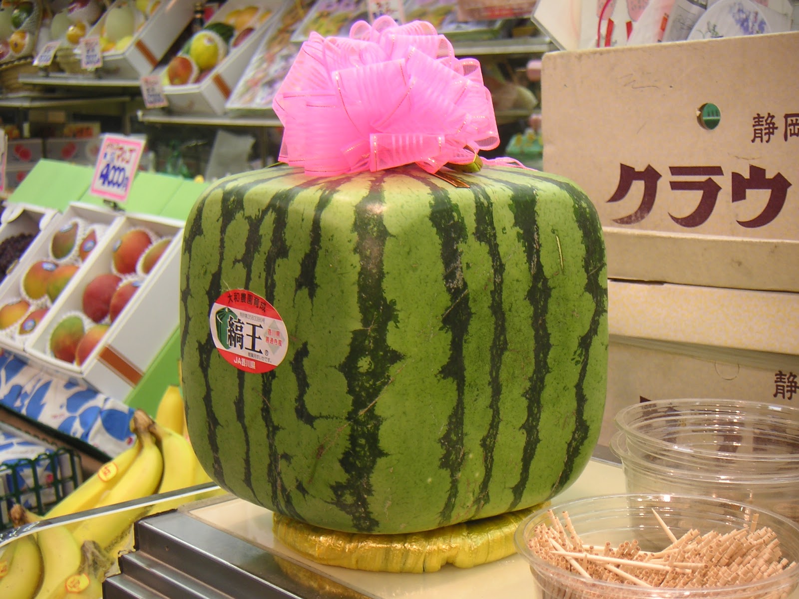 http://4.bp.blogspot.com/-Zh9GnZyF6VY/VcdRwtnd0KI/AAAAAAAAEug/hbyEG-9WBwE/s1600/Square_watermelon.jpg