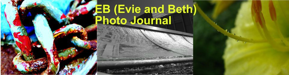 EB (Evie & Beth) Photo Journal