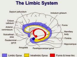 Improve your brain processing speed photo 5