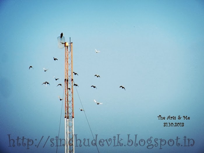 Flying Birds around a tower in the clear blue sky. 
