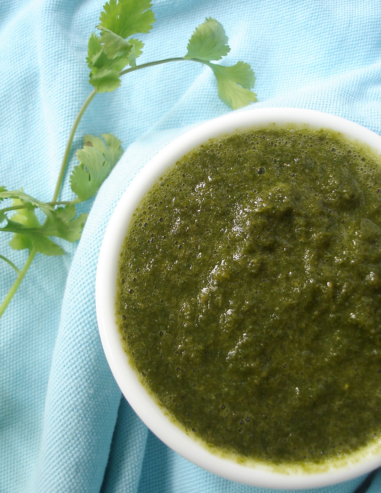 Green Chutney | Indian Dip | Cilantro Chutney Green Chutney | Indian Dip | Cilantro Chutney