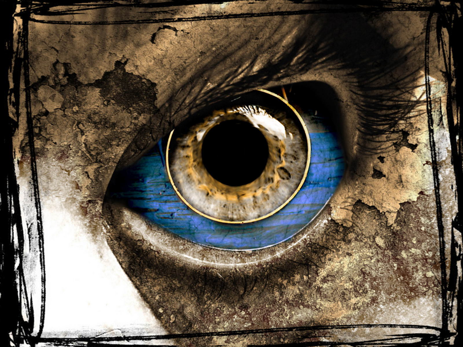 http://4.bp.blogspot.com/-ZiUs5ystZ1k/Ti--rfIh_OI/AAAAAAAADtg/GlxHl7dLrVo/s1600/eye-horror-wallpapers.jpg