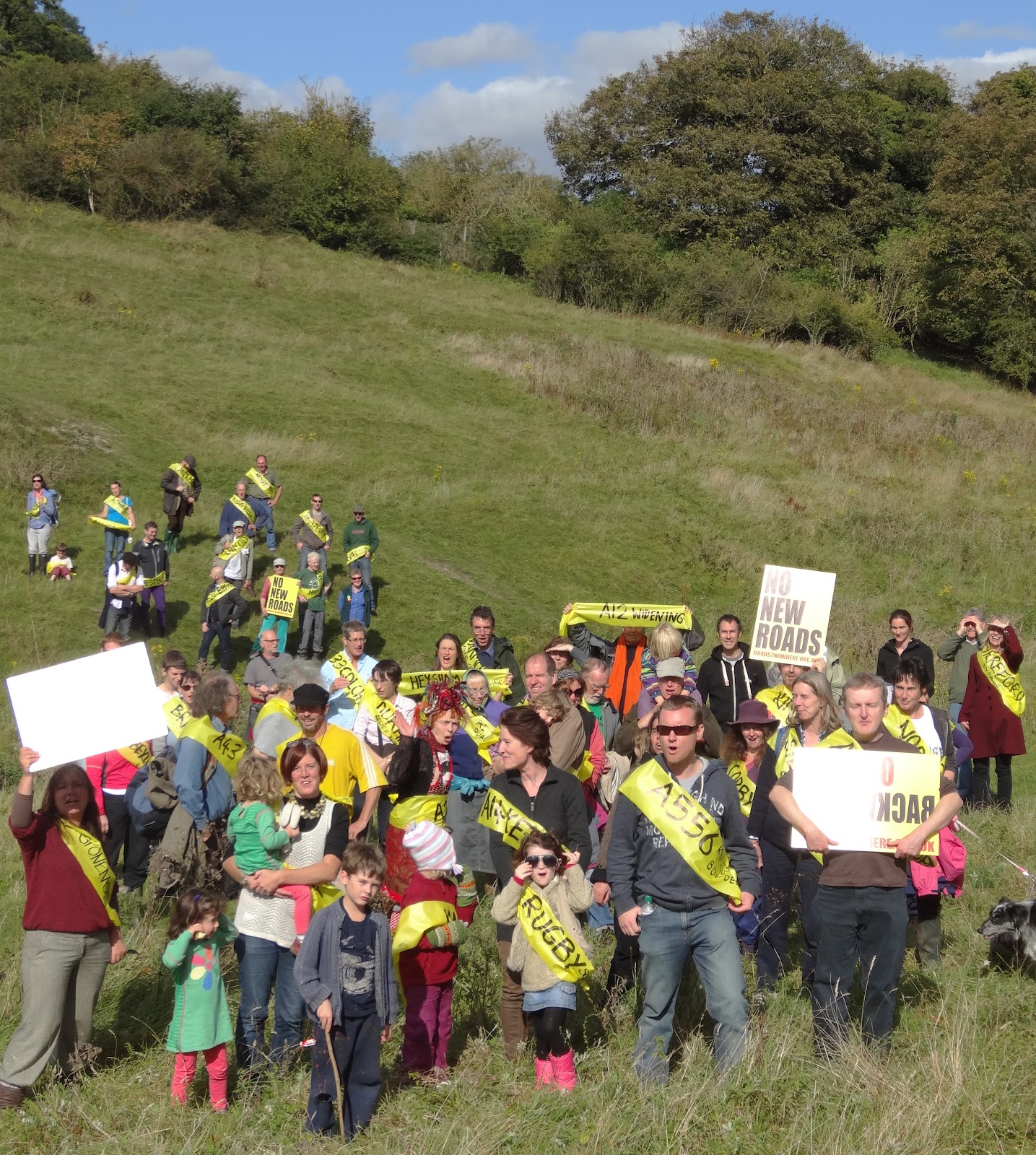 Hagthorn 20th Anniversary of Twyford Down No New Roads!