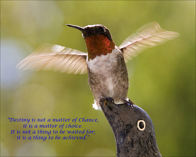 famous quotes famous quotes
