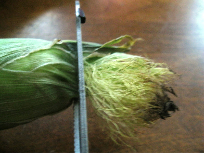 TIP GARDEN Freezer Meals Corn on the Cob