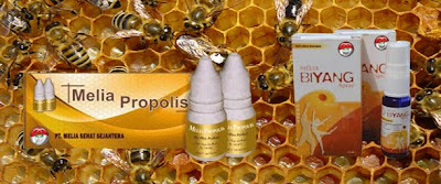 Melia Propolis dan Melia Biyang