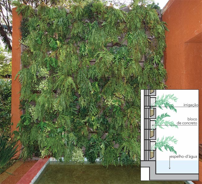 jardim vertical bloco:Jardim Vertical Bloco Concreto jardim vertical bloco:Jardim Vertical Bloco Concreto