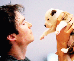 ma rencontre avec ian somerhalder