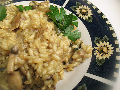 creamy mushroom risotto