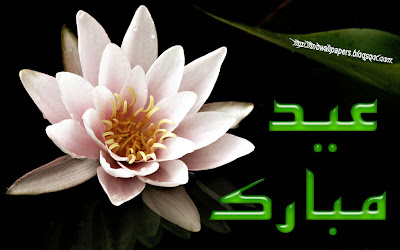 Beautiful White Flower Eid Mubarak Wish Wallpapers Card Urdu Text