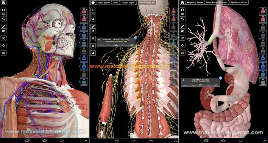 3d4medical limited 3d4medical limited