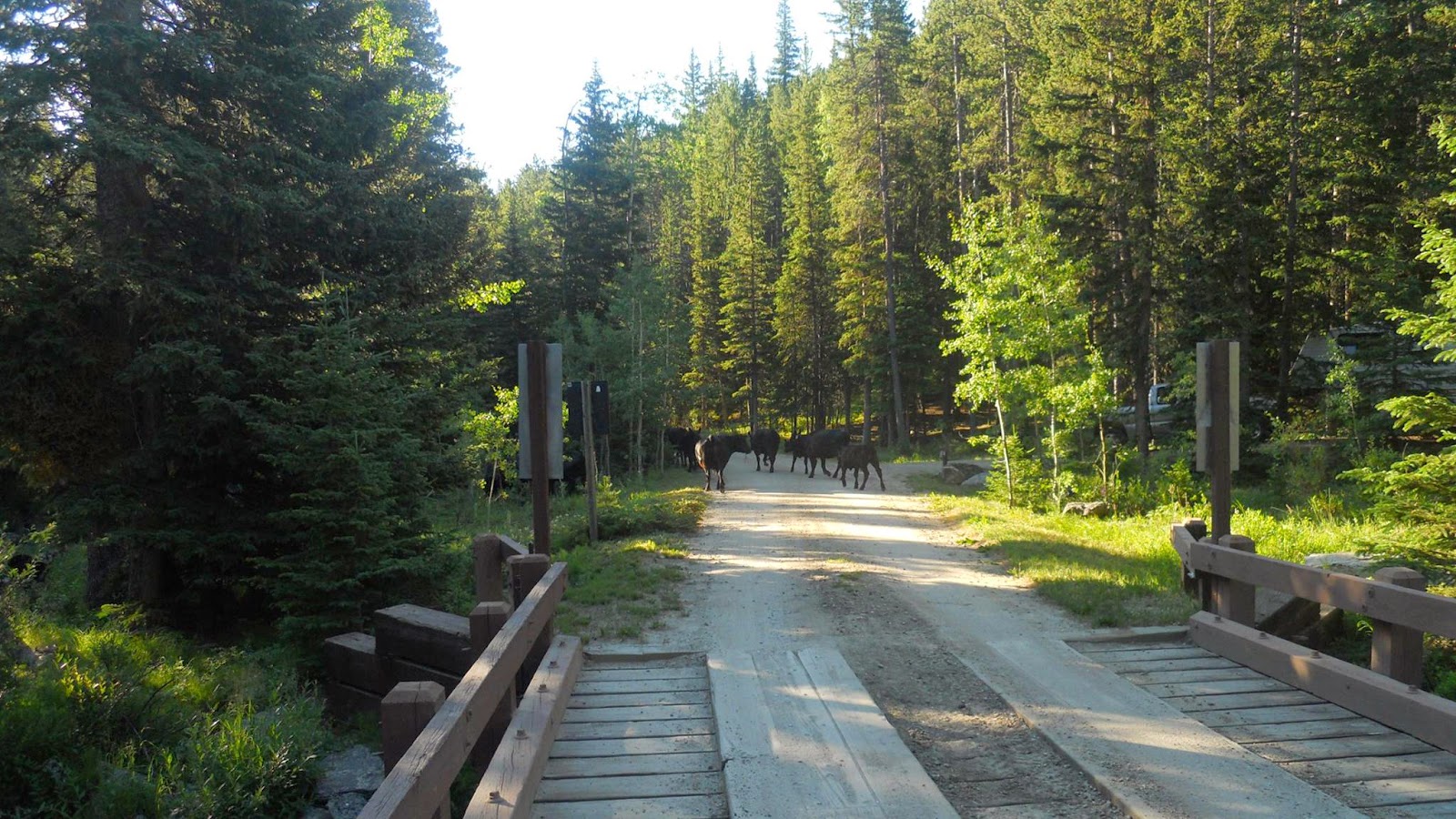 National Forest Camper Middle Fork Campground