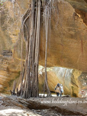 Nature booming within the Caves Nature booming within the Caves