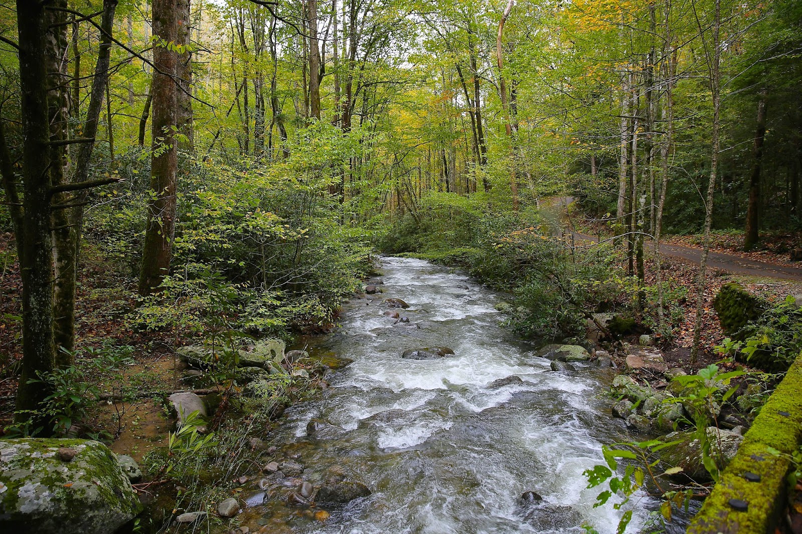 Sweet Southern Days A Drive Through Roaring Fork Motor Nature Trail