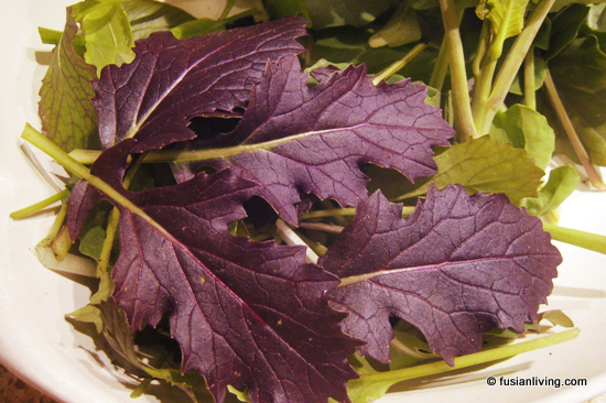 Mizuna Harvest - Purple leaves