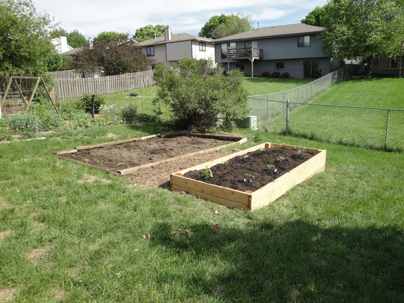 Prairie Spirits: Yard and Garden News