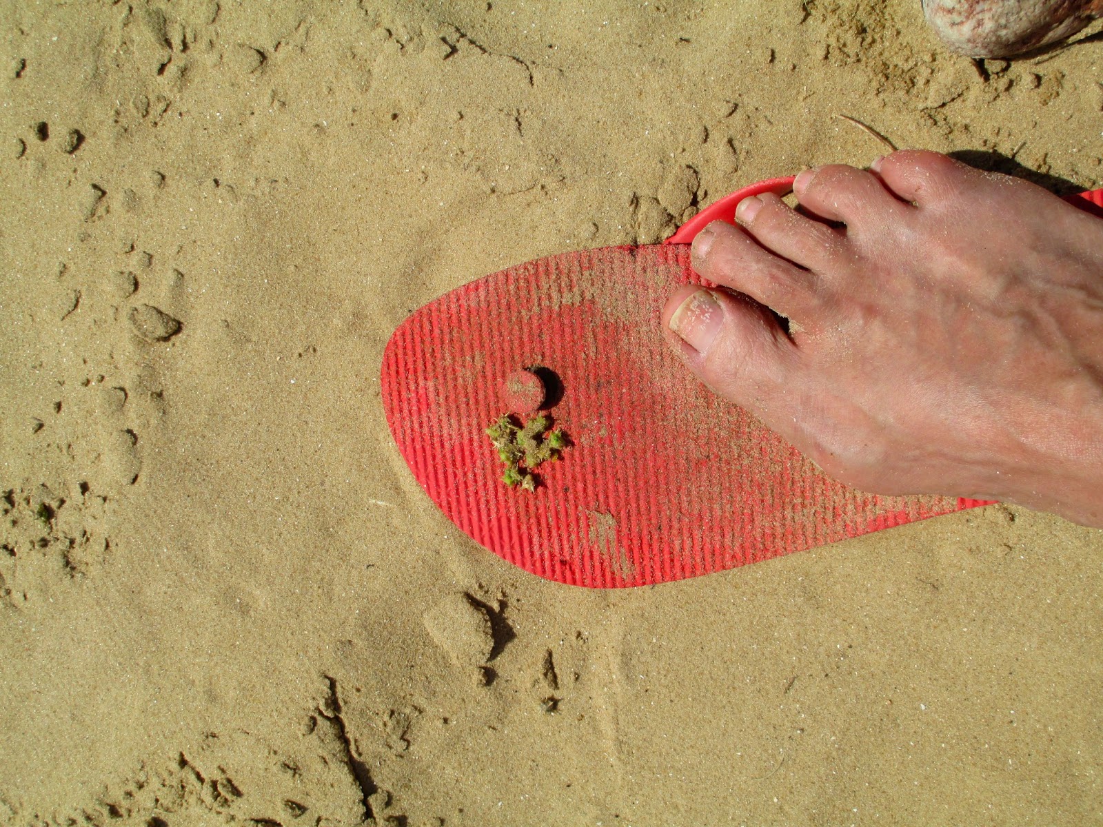 Camino del Corazon "Path of the Heart" Estancia Pangea Tacuarembo