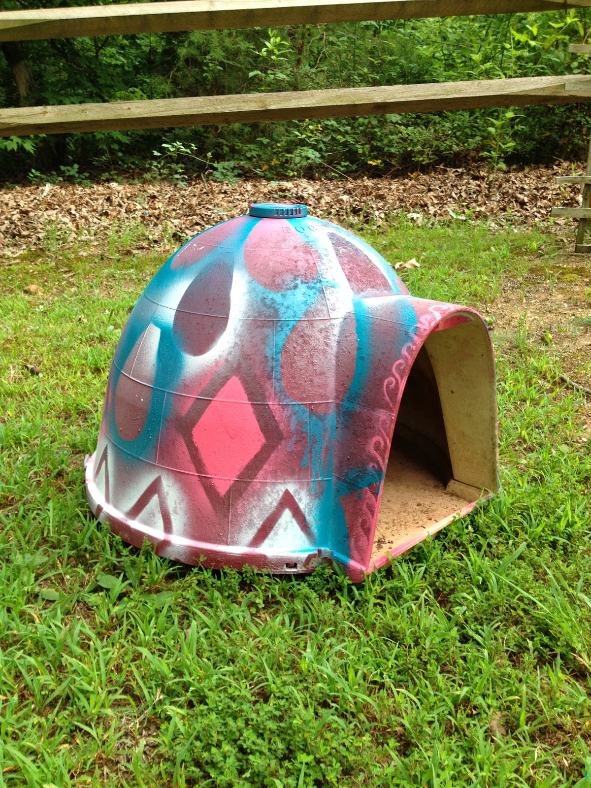LifeLookLens DIY Doghouse Improving An Igloo