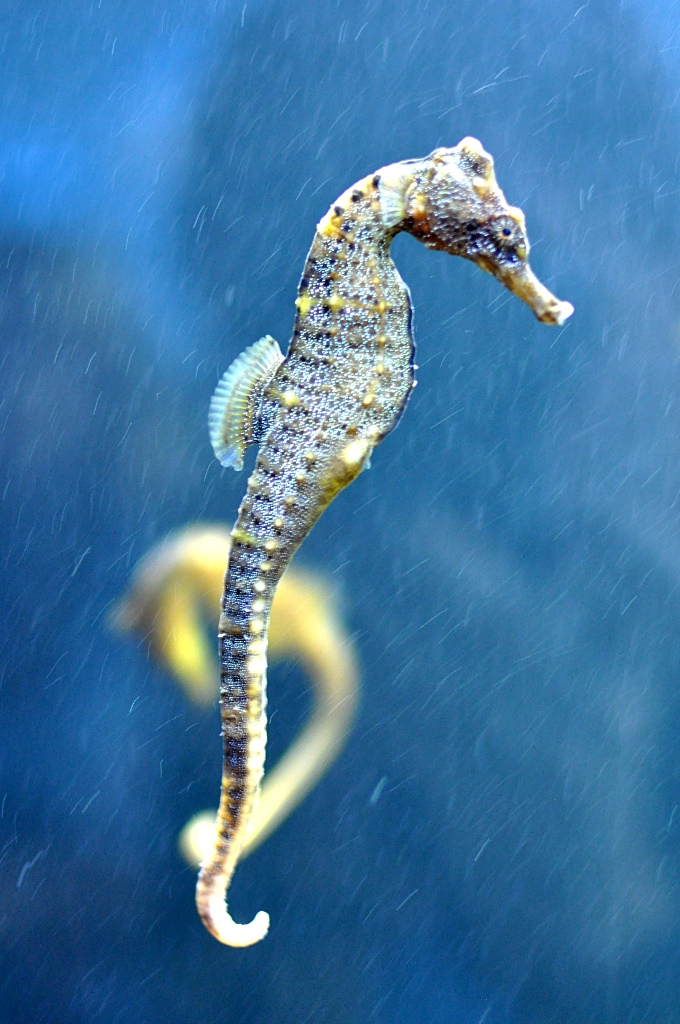 A Photo a Day from Planet Earth: July 2011