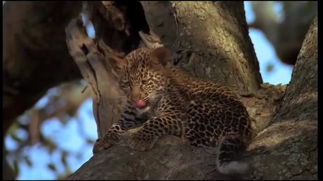 abcoeur annonce et rencontre