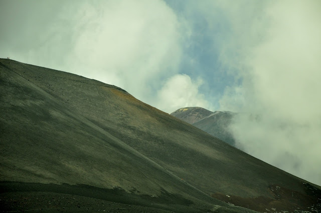 _DSC0020.JPG