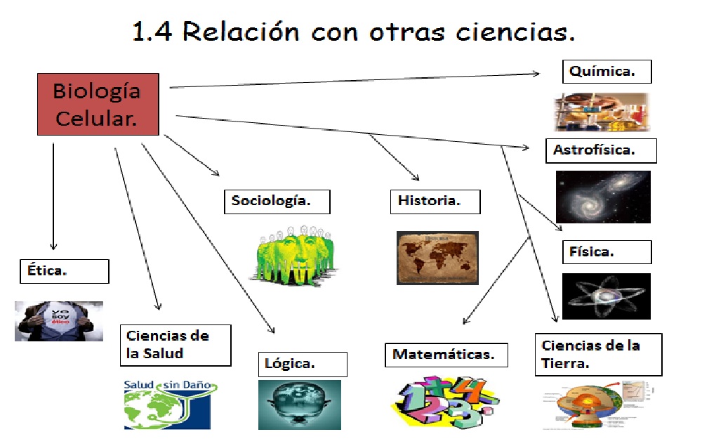 CON CIENCIAS con ciencias: