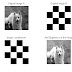MATLAB CODE - Adding brightness to the Image and complement of the image