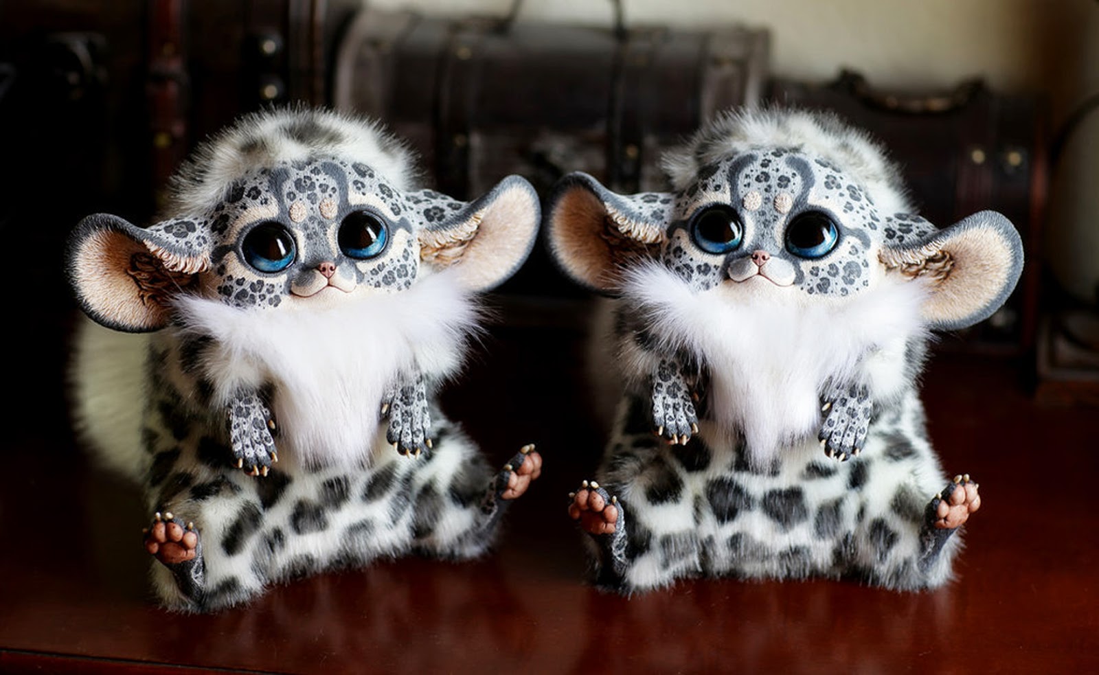 Pics Wallpaper HD Cute Inari Fox Animals Wallpaper HD Pics Wallpaper HD Cute Inari Fox Animals Wallpaper HD