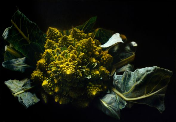 Emanuele Dascanio pinturas retratos e natureza morta hiper-realistas Emanuele Dascanio pinturas retratos e natureza morta hiper-realistas