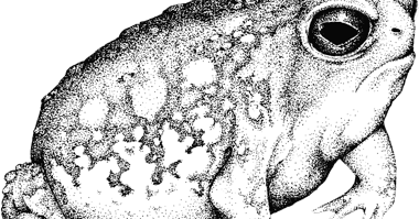 半径３メートルの爬虫類事情 不定期更新 盗まれた世界 １