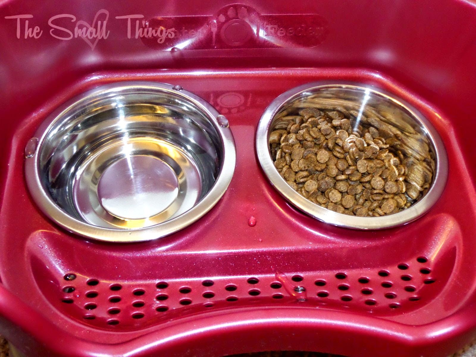 Keep your floors cleaner with the Neater Feeder! Review and Giveaway