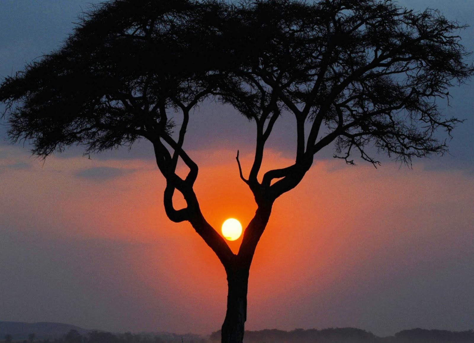 Beautiful Wallpapers: Amazing sunset Fb covers