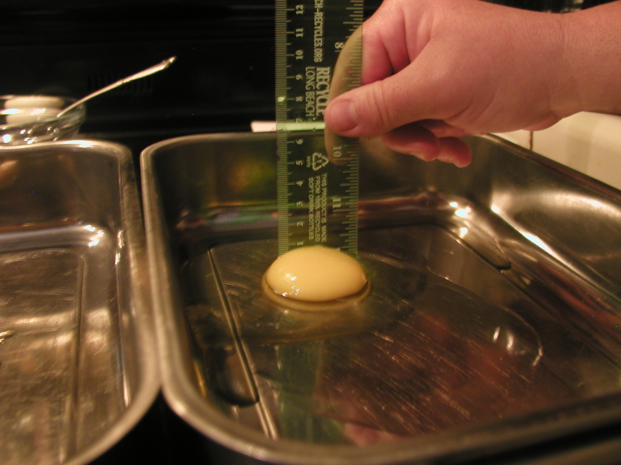 Science Fair project