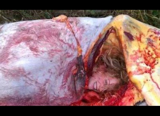 Elizabeth Herrick, Oregon Woman, Took Nude Photos Inside Horse Carcass ... Elizabeth Herrick, Oregon Woman, Took Nude Photos Inside Horse Carcass ...