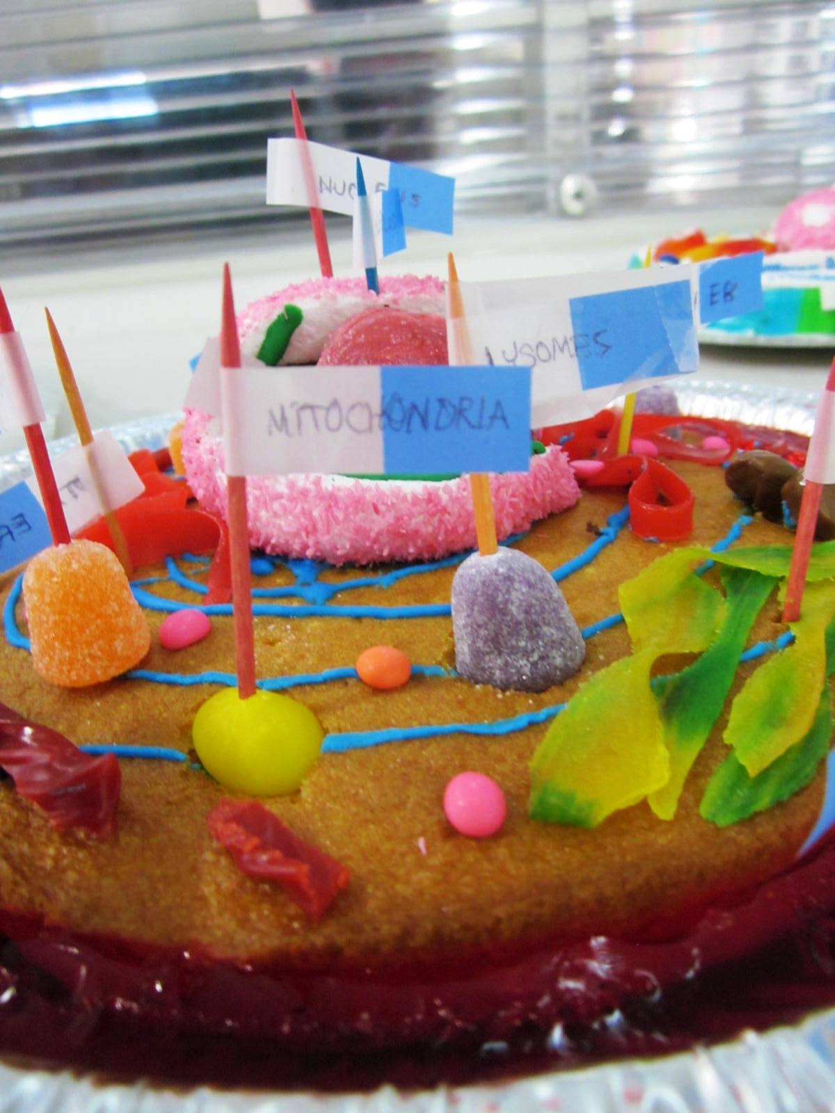 The Science and Technology Lady: Edible Science Model Projects: Part 2