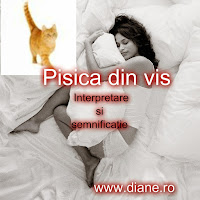 Pisica din vis Interpretarea si semnificatia visului cu pisici
