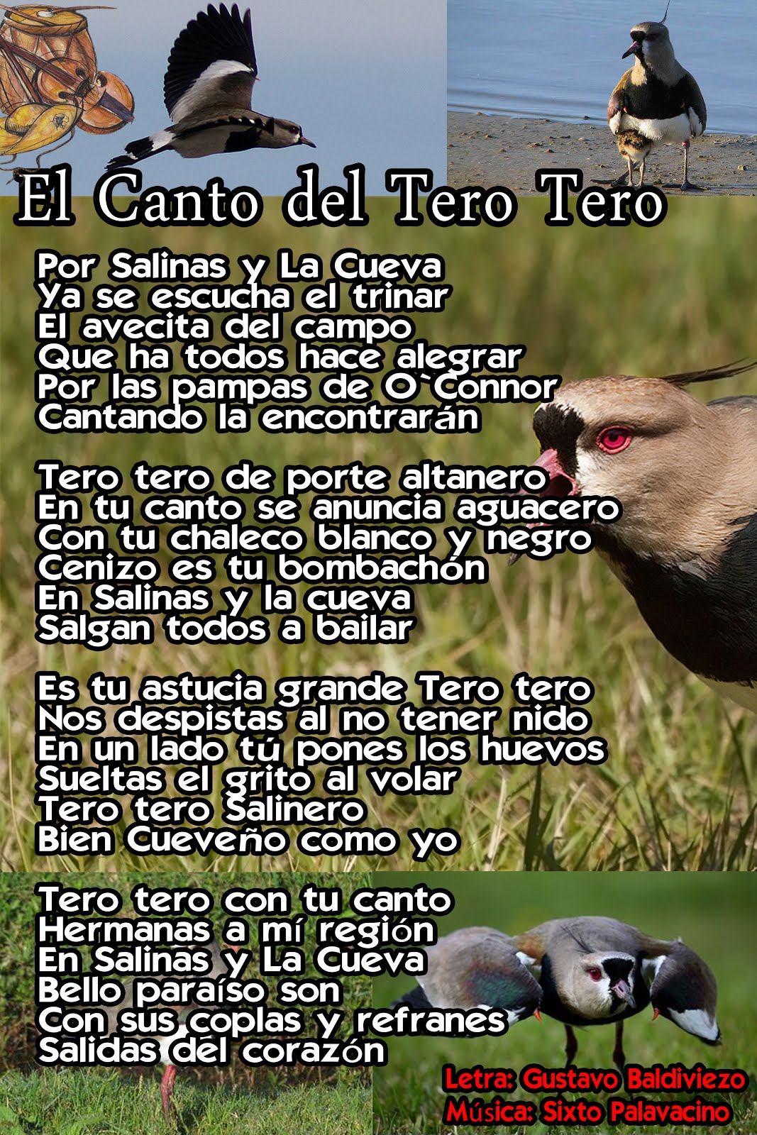 Tero Tero