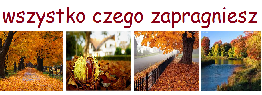            wszystko czego zapragniesz