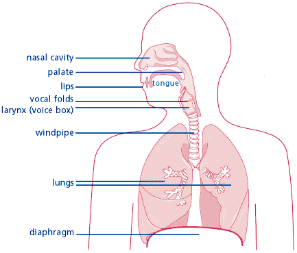 Singing diagram
