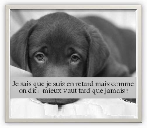 Texte Anniversaire En Retard