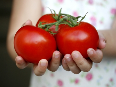 Girl holding tomatoes