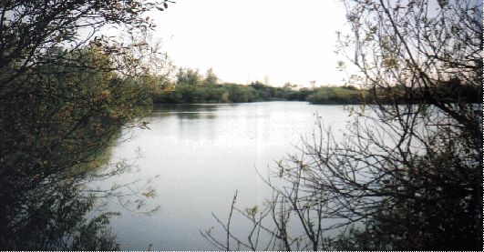 Chigboro fisheries