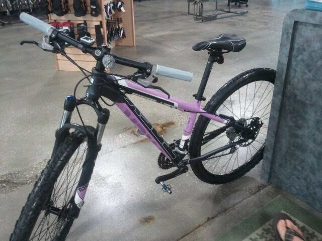trek mamba wsd