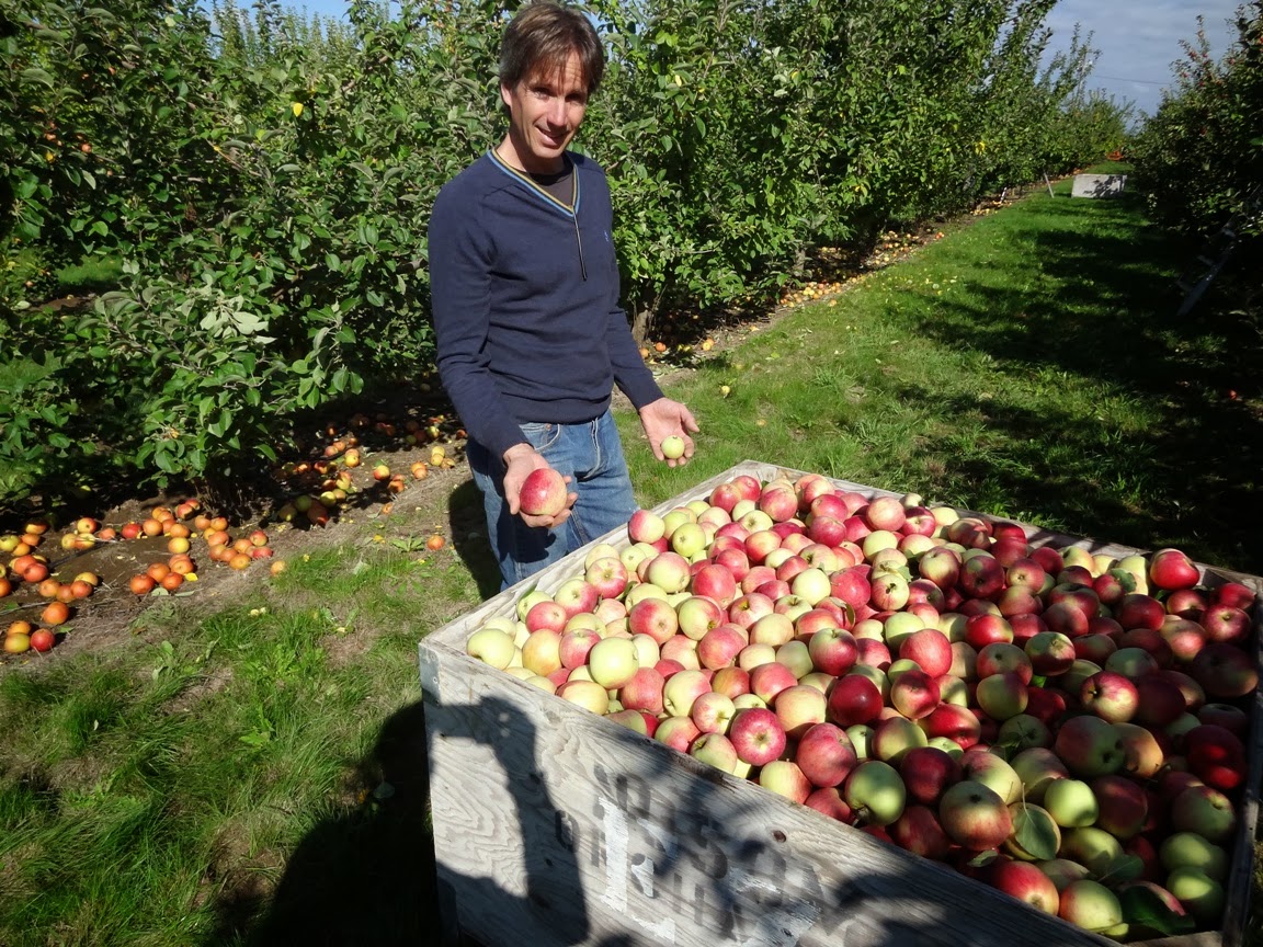 Beervana Cider Saturday Among the Trees at EZ Orchards