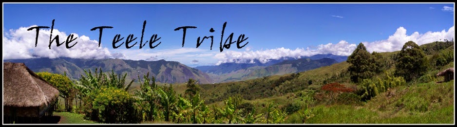 The Teele Tribe