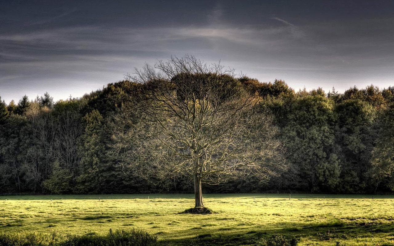 Sexy Wallpaper: Natural Beauty Of Germany - Lovely Landscape