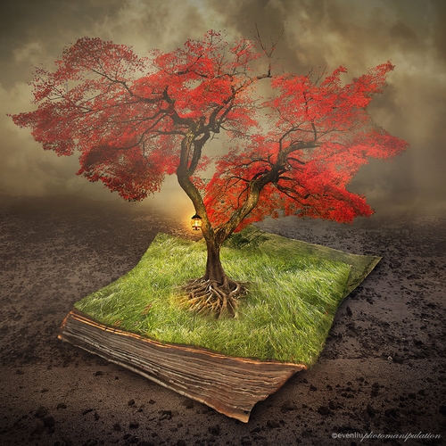 06-Knowledge-Even-Liu-Surreal-Photo-Manipulations-and-the-Lantern-www-designstack-co
