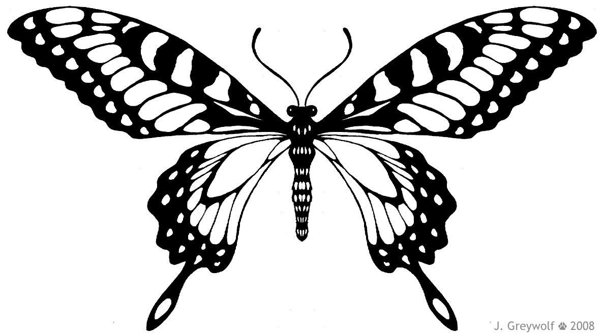 butterfly outline